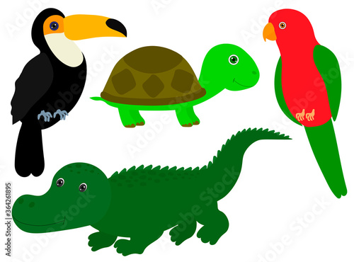 Set Cute Animals Parrot Toucan Crocodile Turtle Vector Illustration