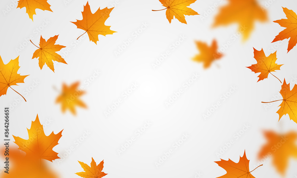 Sale poster design for autumn With leaves not falling beautifully on the background Sale poster design for autumn With leaves not falling beautifully on the background