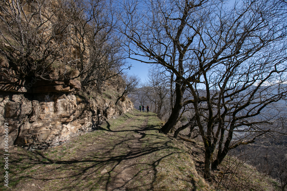 mountain road, the shadow of the branches of trees, a trip to Karachay-Cherkessia Republic mountain road, the shadow of the branches of trees, a trip to Karachay-Cherkessia Republic