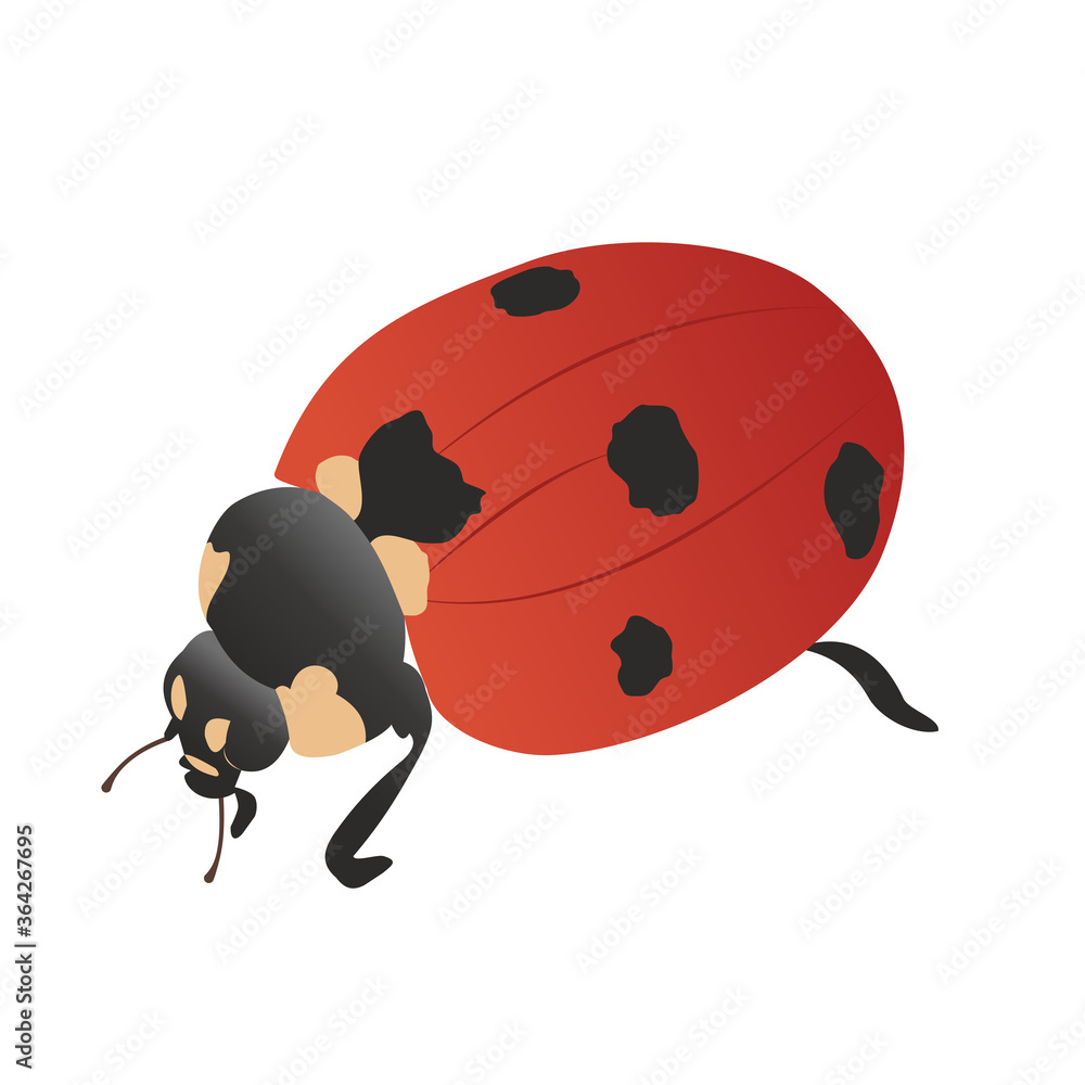 Fototapeta premium Red Ladybug top-side view. Ladybird on a walk, cartoon. Vector illustration in flat style. Cute red with black spots insect insect for or print and web Nature Wildlife.