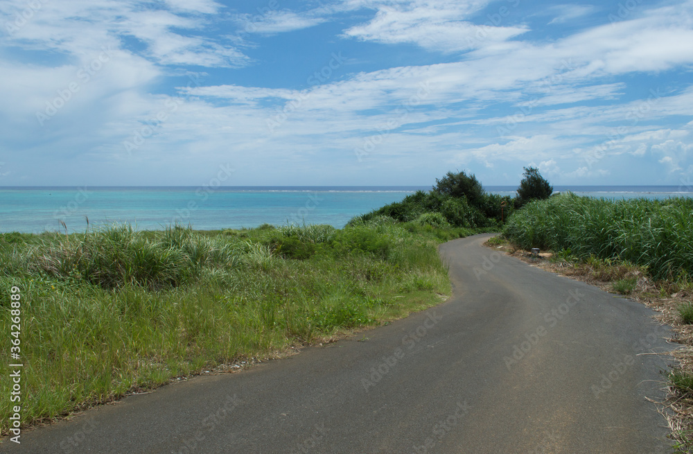 エメラルドグリーンの水平線の見える海と蛇行した道