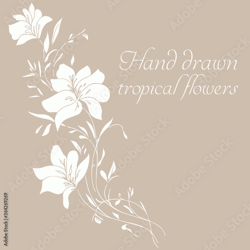 Vector silhouette of hand drawn tropical flowers. Floral illustration in sketch style. Summer background with tropical flowers for travel or t shirt. Isolated