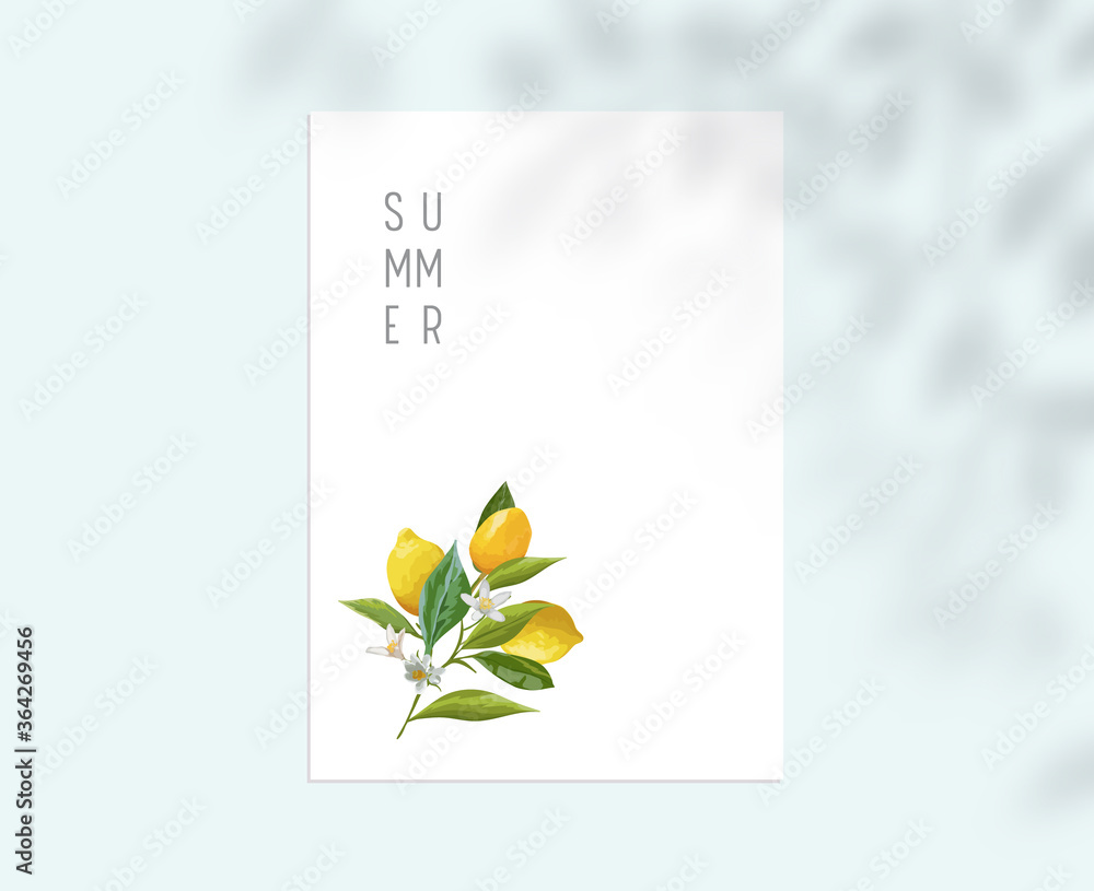 Stationary Template with Lemon Fruits, Leaves and Flowers on White ...