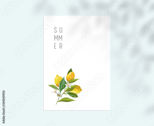 Stationary Template with Lemon Fruits, Leaves and Flowers on White Paper Sheet. Summer Botanical Design Background with Tree Branches Shadow, Corporate Business Brand Identity. Vector Illustration