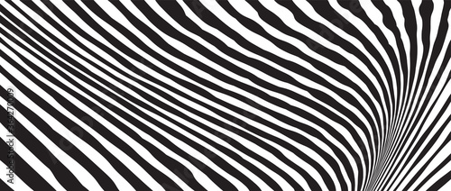 Wild Zebra Wave Pattern with black and white. Trendy Stylish Abstract Background.. © ckybe