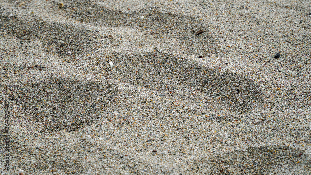 human footprints in the sea sand