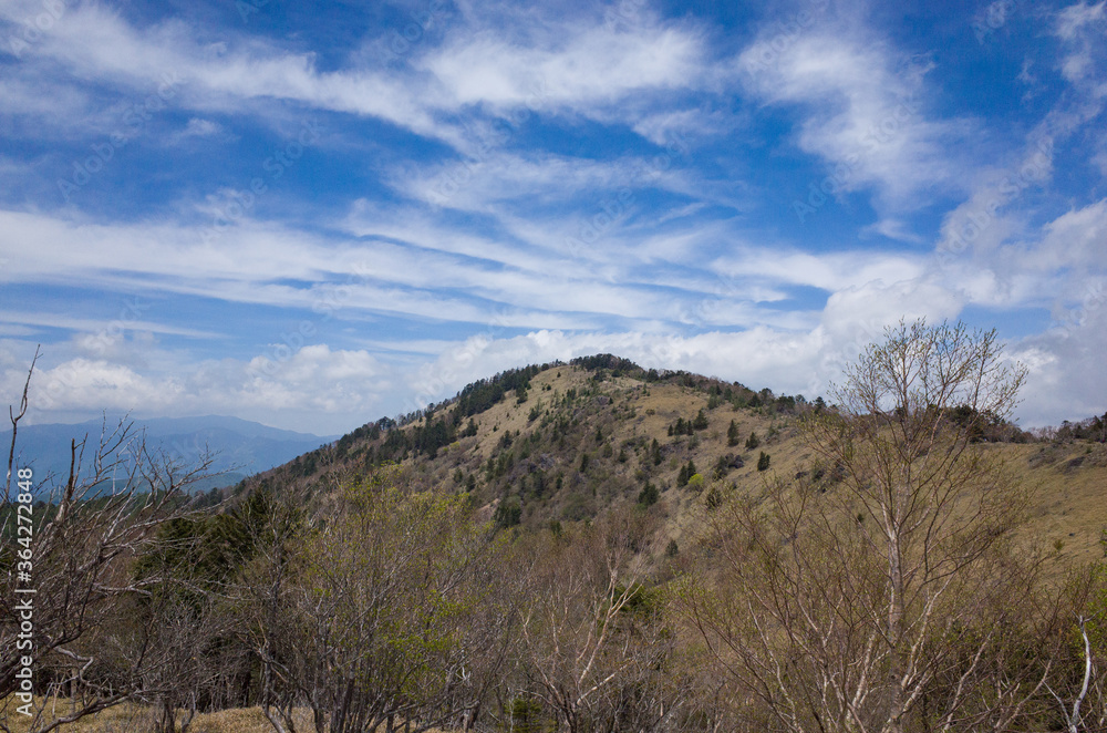 Top of Mt.Daibosatsu and cirrus cloud in a early summer at Yamanashi Prefecture, Japan.