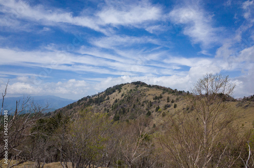 Top of Mt.Daibosatsu and cirrus cloud in a early summer at Yamanashi Prefecture, Japan.