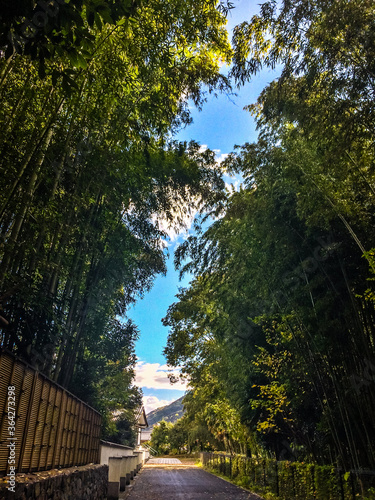 木　森　道