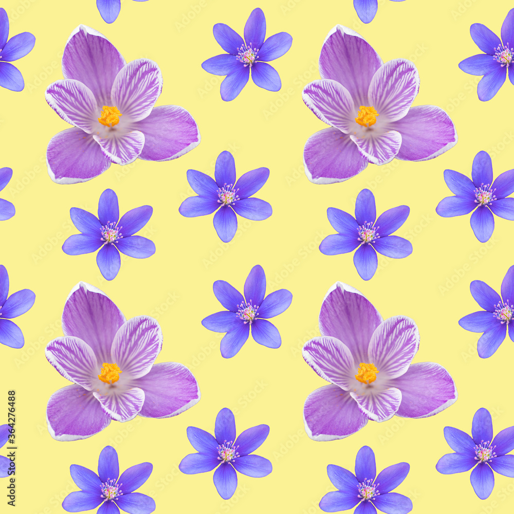 Seamless pattern of spring and summer flowers. Bright wild, forest and meadow flowers. Seamless pattern of spring and summer flowers. Bright wild, forest and meadow flowers.