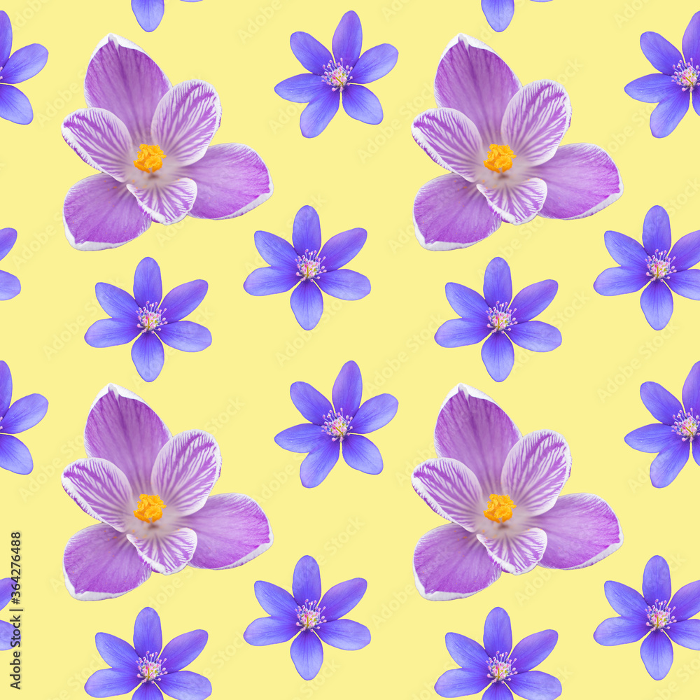 Seamless pattern of spring and summer flowers. Bright wild, forest and meadow flowers.