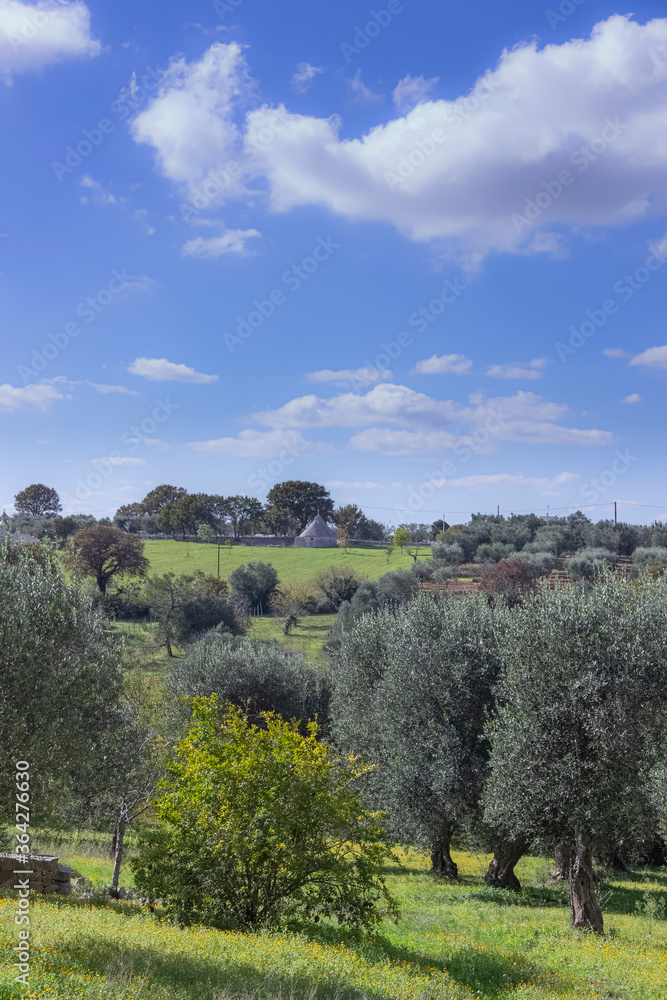 Typical example of rural Apulian landscape in Italy.