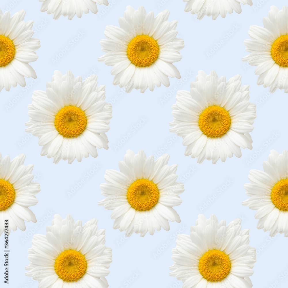 Seamless pattern of spring and summer flowers. Bright wild, forest and meadow flowers. Seamless pattern of spring and summer flowers. Bright wild, forest and meadow flowers.