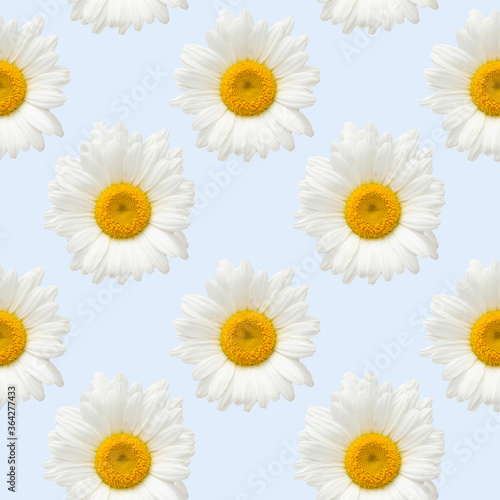 Seamless pattern of spring and summer flowers. Bright wild, forest and meadow flowers.