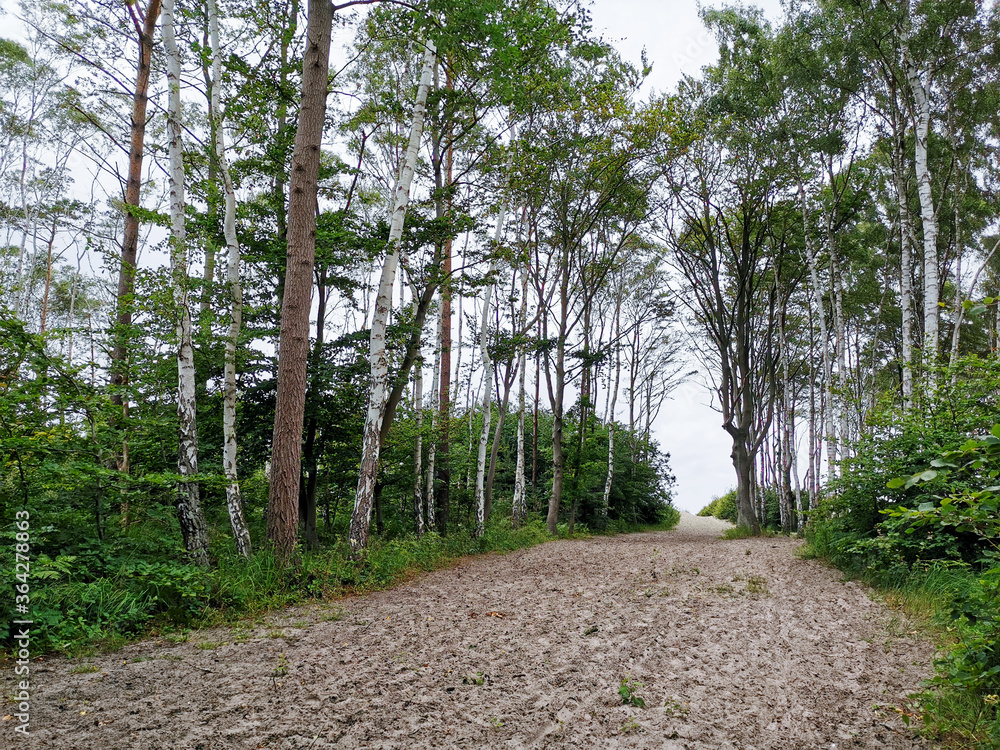 Entry to the beach in Germany
