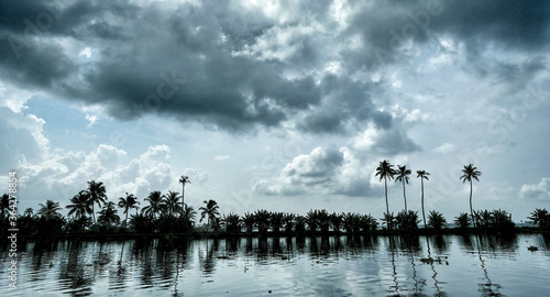 Silhouette of palm trees in the backwaters of Alleppey in Kerala. India. photo