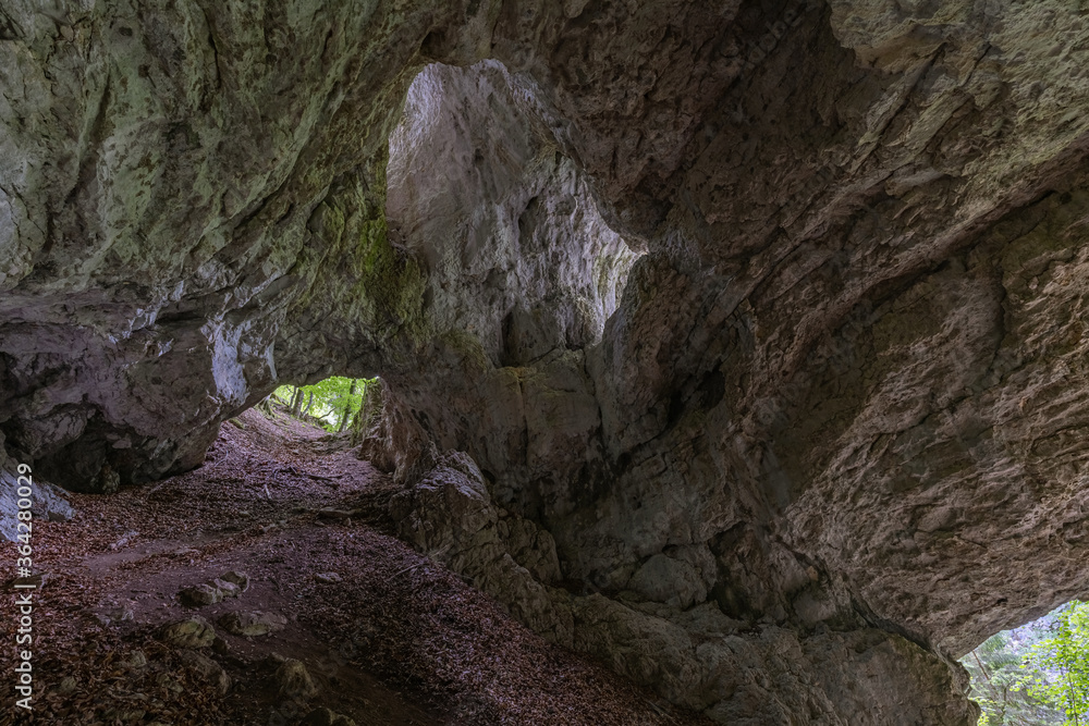 Pokljuka cave in pokljuka plateau in Julian Alps, Slovenia
