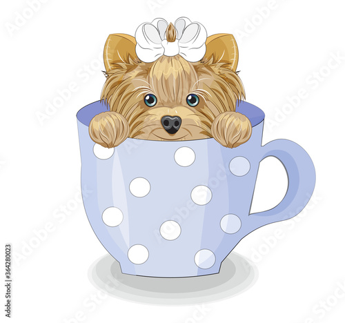 Yorkshire terrier dog in cup