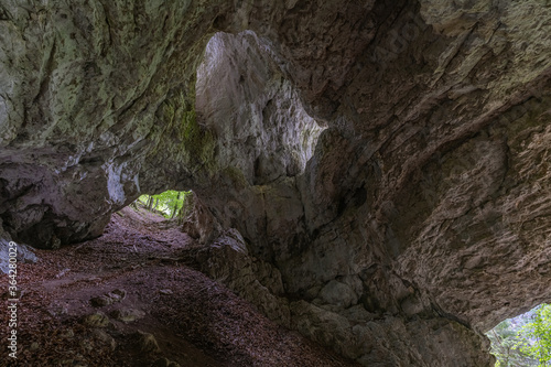 Pokljuka cave in pokljuka plateau in Julian Alps, Slovenia