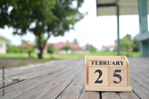 February 25, Number cube with a natural background.