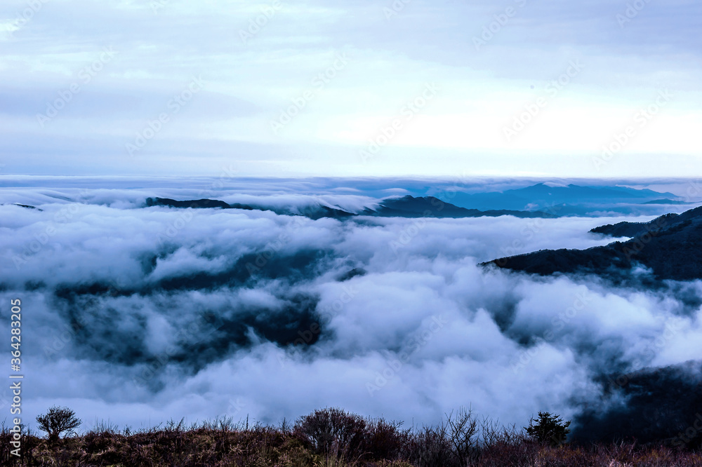 Beautiful sea of clouds at dawn on the top of the mountain. Beautiful sea of clouds at dawn on the top of the mountain.