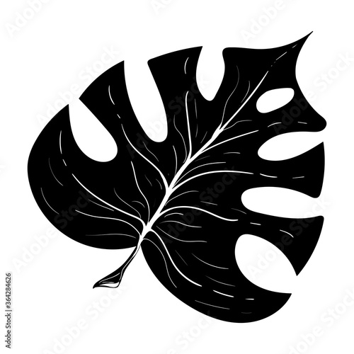 Summer black silhouette of tropical leaves palm and tree element isolated on white background. Jungle exotic leaf. Vector illustration design for cards  web  natural product ets.
