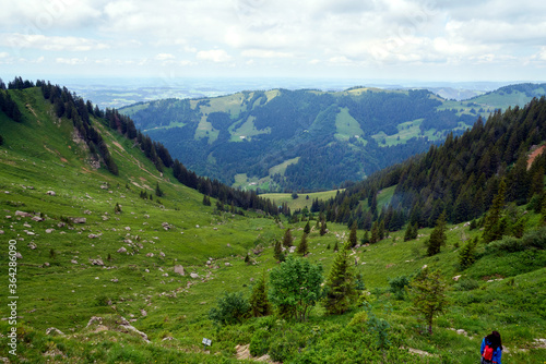 valley near the hochgrat moutain at the nagelfluhkette in bavaria near the town of oberstaufen