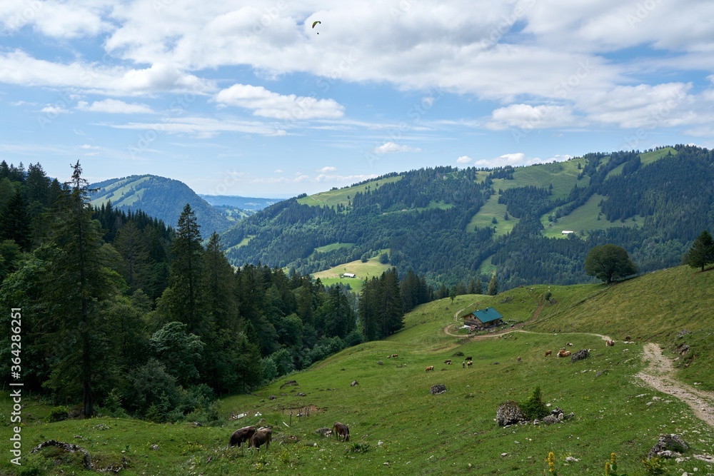 View a hiking trail near hochgrat mountain near oberstaufen in bavaria, allgäu alps