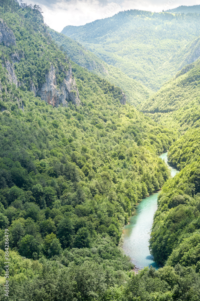 Perspective view at Tara river valley in Durmitor mountains Perspective view at Tara river valley in Durmitor mountains