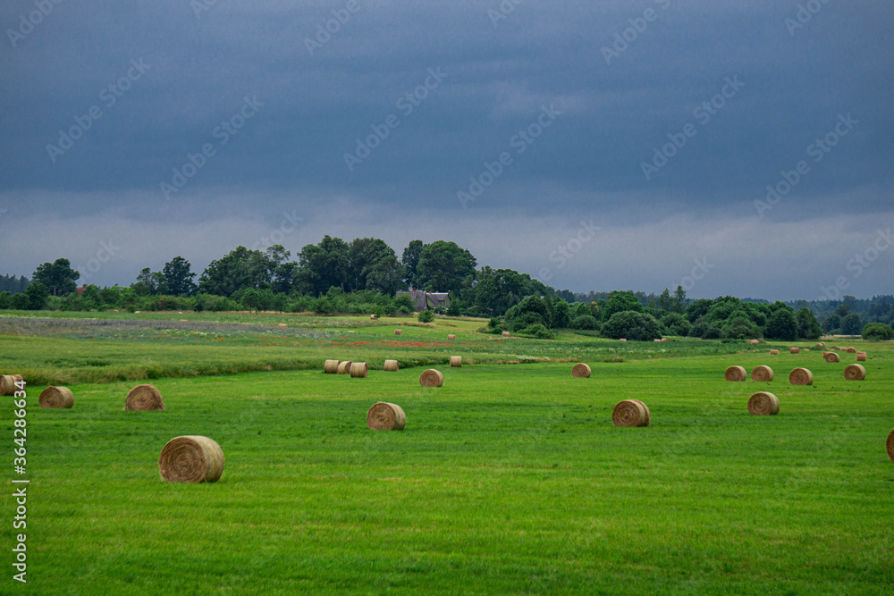 Beautiful landscape of a field with rolls of mowed grass and a dark stormy sky in Latvia in summer. Beautiful landscape of a field with rolls of mowed grass and a dark stormy sky in Latvia in summer.