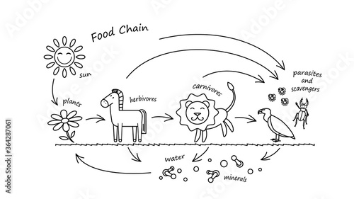 Funny Animals Food Chain Coloring Book