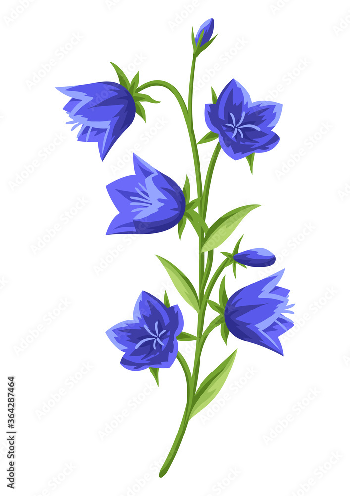Illustration of realistic bells. Beautiful flower.