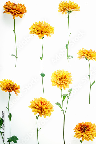 Flowers composition from chrysanthemum flowers