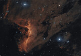 Nebulosa pellicano 