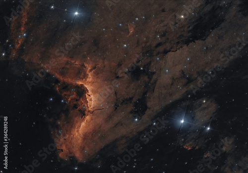 Nebulosa pellicano  photo