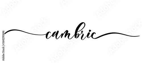 Cambic - vector calligraphic inscription with smooth lines for shop fabric and knitting, logo, textile. photo