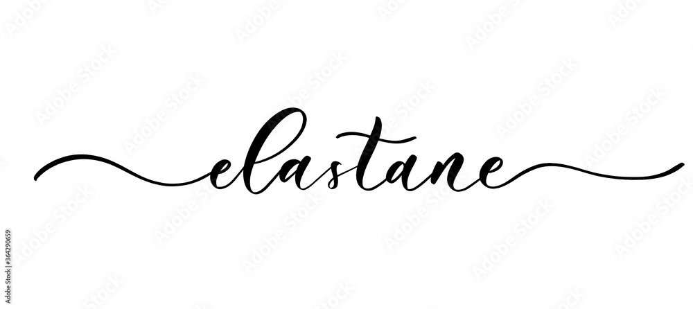 Elastane - vector calligraphic inscription with smooth lines for shop fabric and knitting, logo, textile. Elastane - vector calligraphic inscription with smooth lines for shop fabric and knitting, logo, textile.