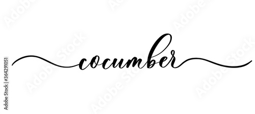 Cocumber - vector calligraphic inscription with smooth lines for labels and design of packaging, products, food store, fruit and vegetables.