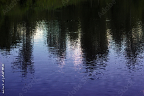 reflection in the water of a forest lake