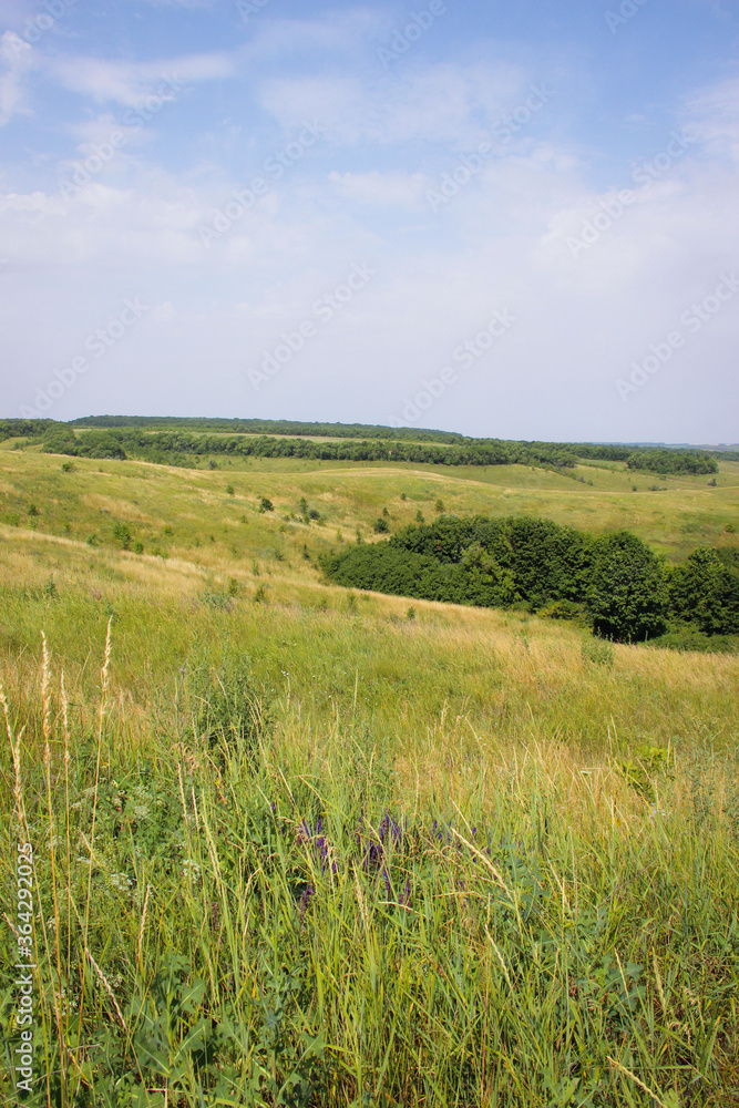 Beautiful landscape of green hills, forests and fields in Russia in the summer.