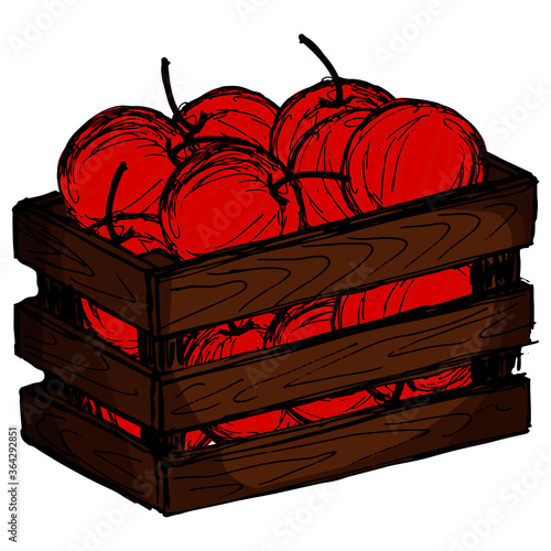 vector illustration, drawing in doodle style in bright color, fruits, apples in a box, isolate on a white background