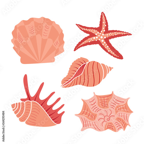 Seashells set isolated on white background. Cartoon underwater objects. Flat vector illustration.