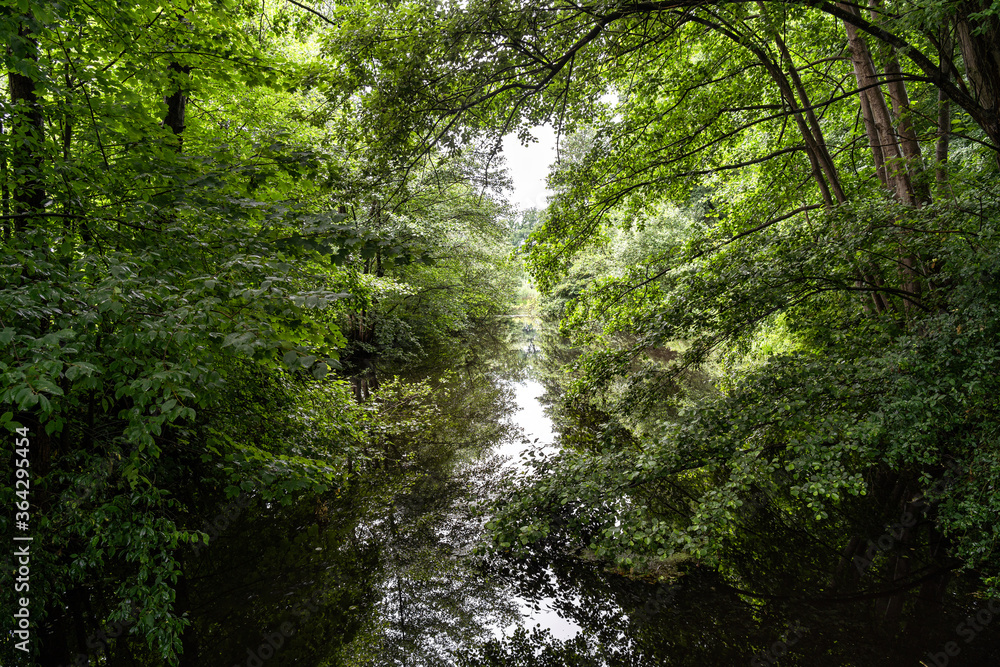 Obraz premium Ruhiger Fluss in der Natur eingerahmt von Bäumen