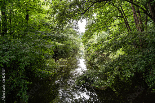 Ruhiger Fluss in der Natur eingerahmt von Bäumen