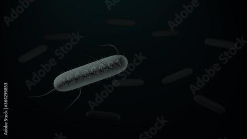 Coli bacteria. Medical video background. 3d rendering