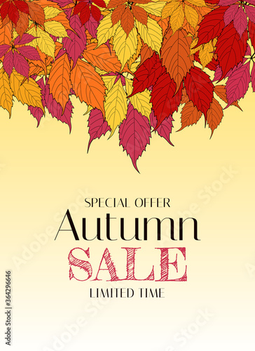 Autumn Sale Background Template with leaves. Special offer. Limited Time. Vec...