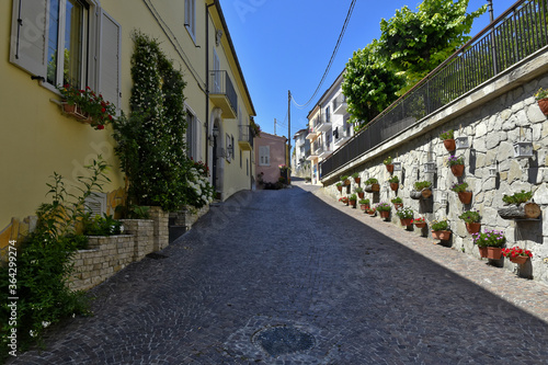 A street decorated with flowers in the medieval town of Cairano in the province of Avellino  Italy.