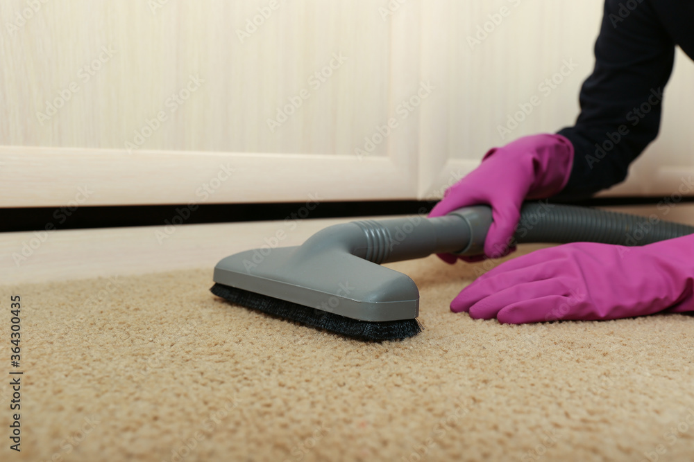 Fototapeta premium vacuuming carpet by vacuum cleaner close up