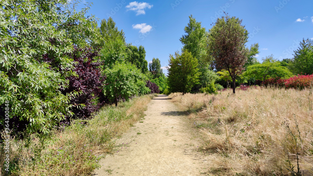 Camino de tierra en el parque Canterac de Valladolid Camino de tierra en el parque Canterac de Valladolid