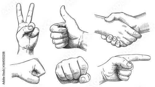 Hand drawn gestures. Pointer finger, strong fist and punch. Handshake, thumb up like and triumph victory gesture sketch vector illustration set. Engraved hand signals and signs for communication